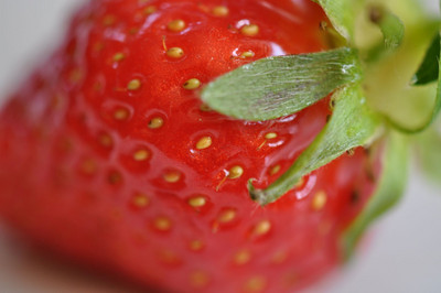 Erdbeere Obst