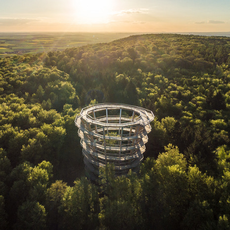 Baumwipfelpfad Steigerwald