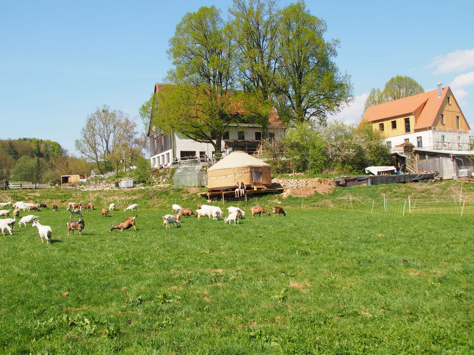 Bild Reimehof Bild Reimehof