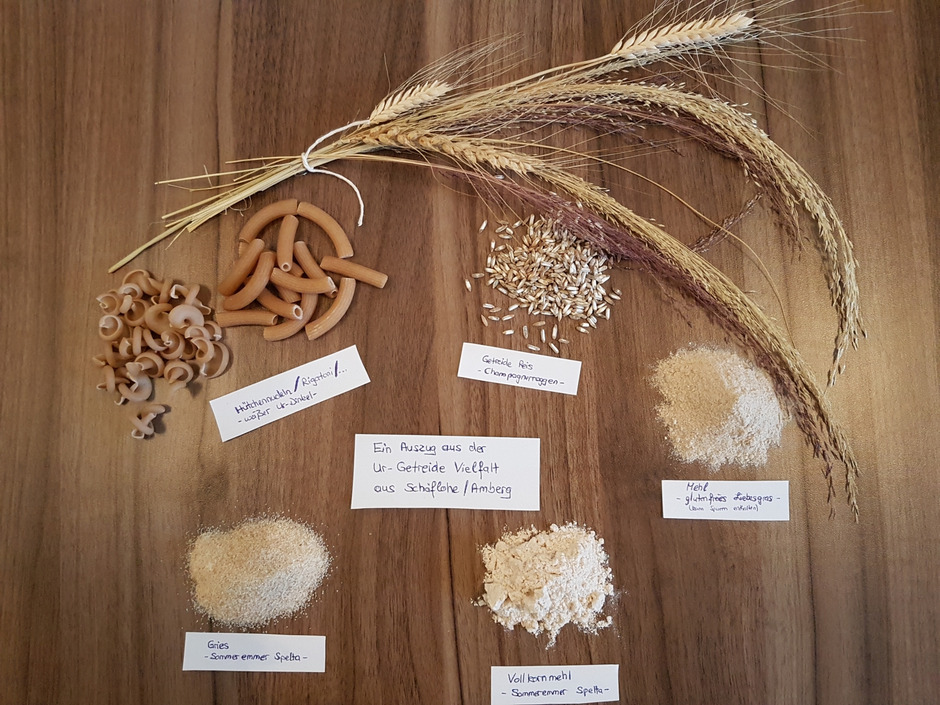 Bild SoLawi Stadt, Land, Beides. SoLawi Stadt, Land, Beides.