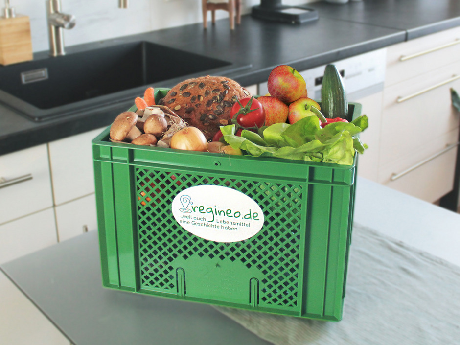 Bild Regineo Box Regineo Box